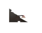 Batería Asus X510 B31n1637 - Imagen 3